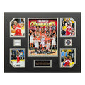 Toronto Raptors 2018-19 NBA Basketball Champions 16 x 20 inch Collage