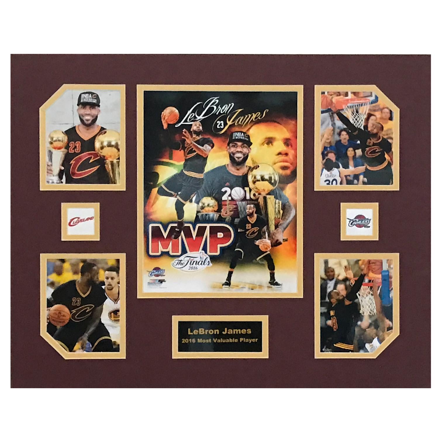 LeBron James Cleveland Cavaliers NBA 2016 Basketball Finals MVP 16 x 20 inch Collage