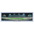 TENNESSEE TITANS "Monday Night Football" Adelphia Coliseum Small Panoramic Photograph