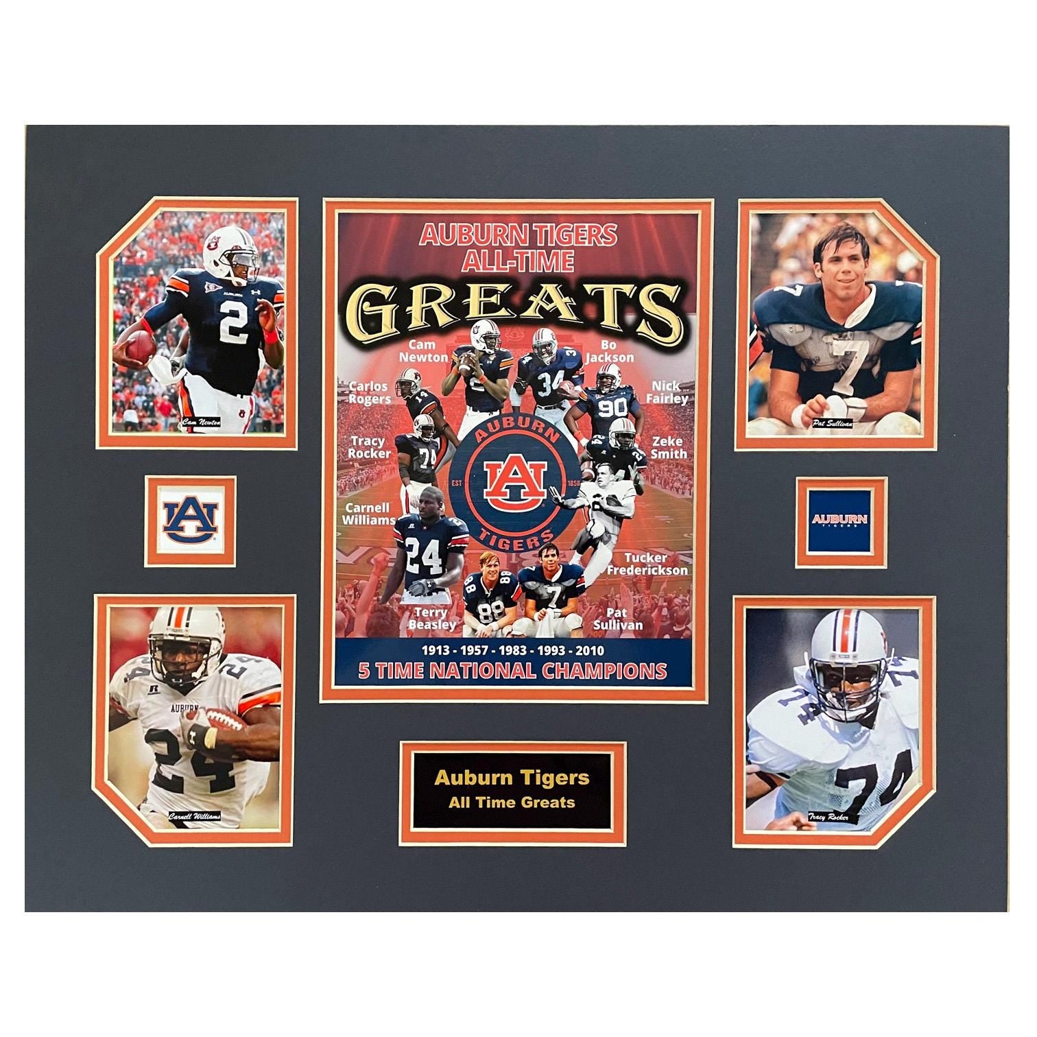 Auburn U Tigers NCAA Football All Time Greats 16 x 20 inch Collage