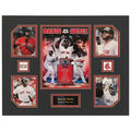 David Ortiz Boston Red Sox MLB Baseball 16 x 20 inch Collage