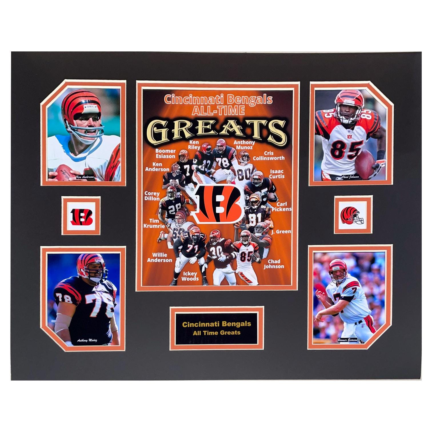 Cincinnati Reds MLB Baseball All-Time Greats 16 x 20 inch Collage