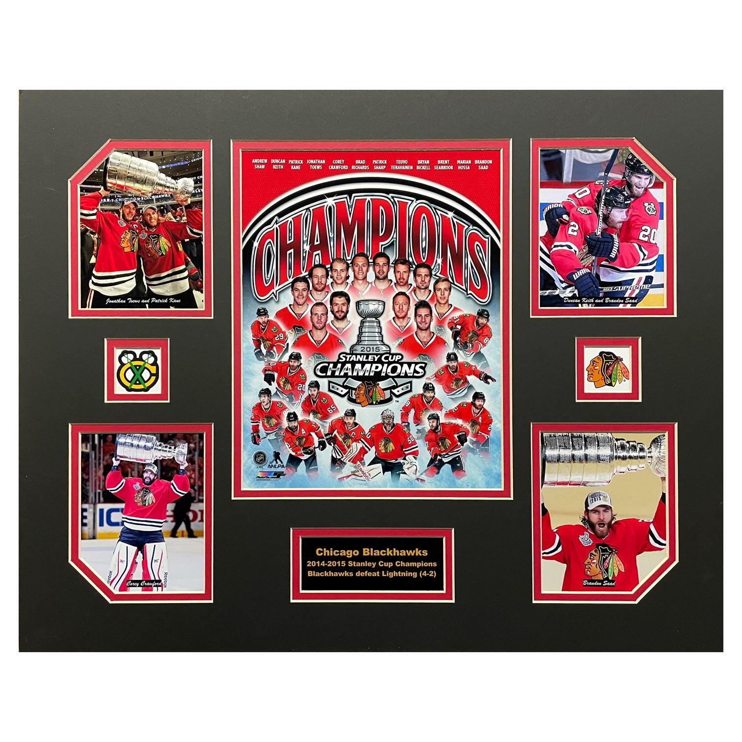 Chicago Blackhawks 2015 NHL Stanley Cup Champions 16 x 20 inch collage