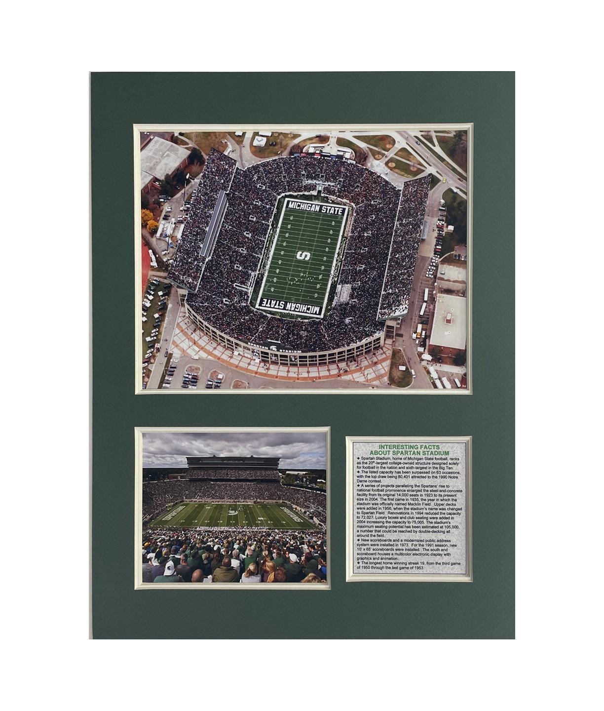 Michigan State Spartan Stadium History