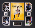 Fernando Tatis Jr San Diego Padres MLB Baseball 16 x 20 inch Collage
