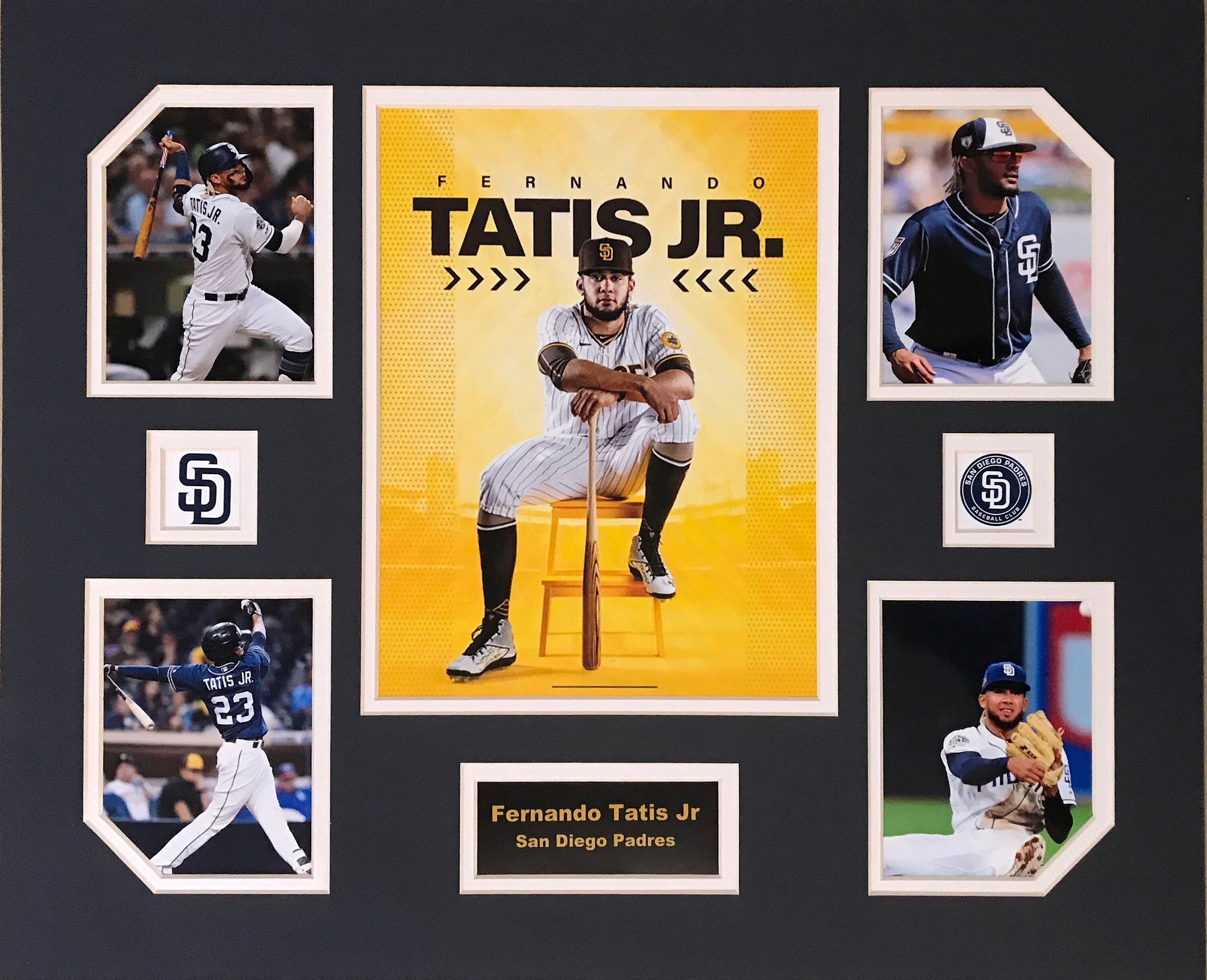 Fernando Tatis Jr San Diego Padres MLB Baseball 16 x 20 inch Collage