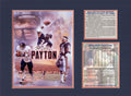 Walter Payton Chicago Bears Hall of Fame Tribute