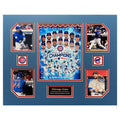 Chicago Cubs 2016 MLB Baseball World Series Champions 16 x 20 inch Collage