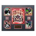 Washington Nationals 2019 MLB Baseball World Series Champions 16 x 20 inch Collage