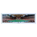 ST LOUIS RAMS "End Zone" Trans World Dome Small Panoramic Photograph