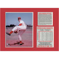 Robin Roberts Philadelphia Phillies Hall of Fame Tribute
