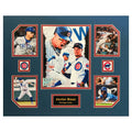 Javier Baez Chicago Cubs MLB Baseball 16 x 20 inch Collage