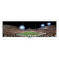 MICHIGAN STATE U SPARTANS "End Zone" Spartan Stadium Panoramic Photograph