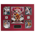 Tampa Bay Buccaneers 50th year anniversary 16 x 20 inch collage