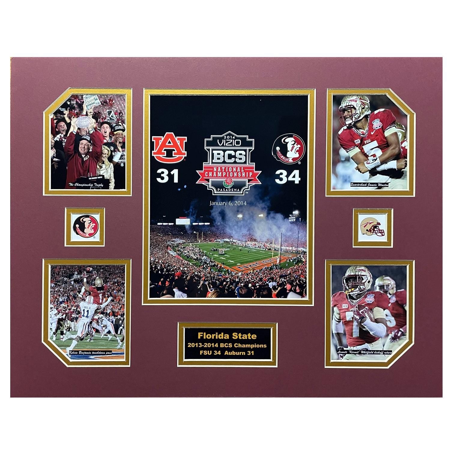 Florida State U Seminoles NCAA Football 2013-14 BCS National Champions 16 x 20 inch Collage