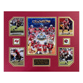 Tampa Bay Buccaneers 2002-03 NFL Football Super Bowl XXXVII Champions 16 x 20 inch collage