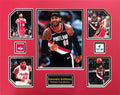 Carmelo Anthony Portland Trail Blazers NBA Basketball 16 x 20 inch Collage